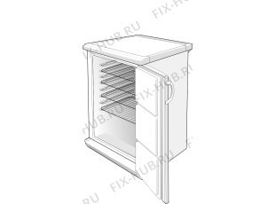 Холодильник Gorenje RCC6168W (273392, HS1666) - Фото